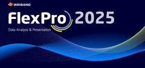 FlexPro 2025 vs FlexPro 2025